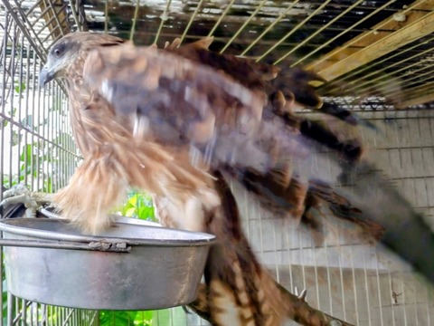 20260817_141428~2_copy_800x600