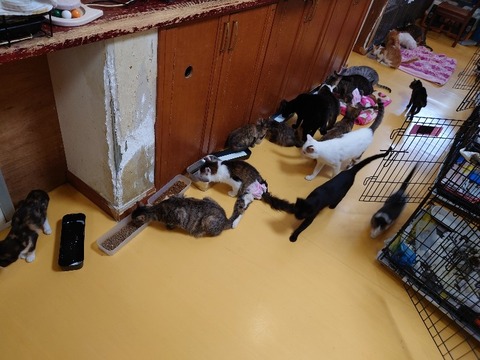 20230301_084156_copy_800x600