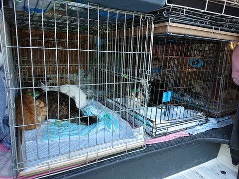 DSC_5729_copy_800x600