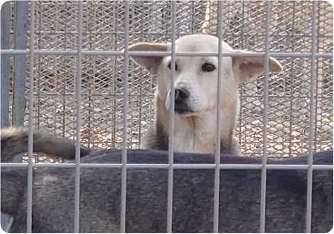 DSC_1322_copy_2352x1650