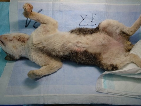 20220722_110957_copy_800x600