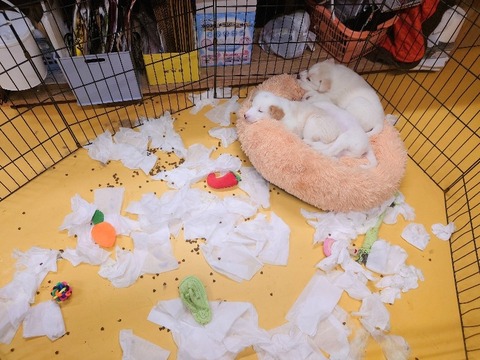 20231226_164627~2_copy_800x600