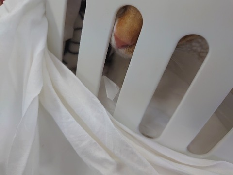 DSC_1666_copy_800x600