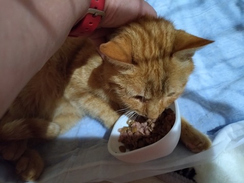 20260129_082835_copy_800x600