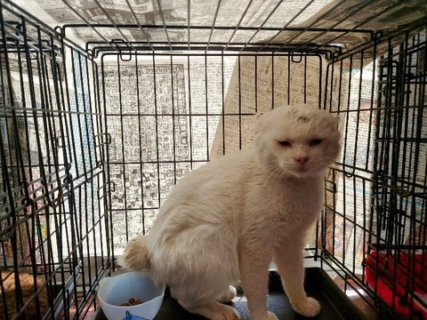 20230228_142558~2_copy_800x600