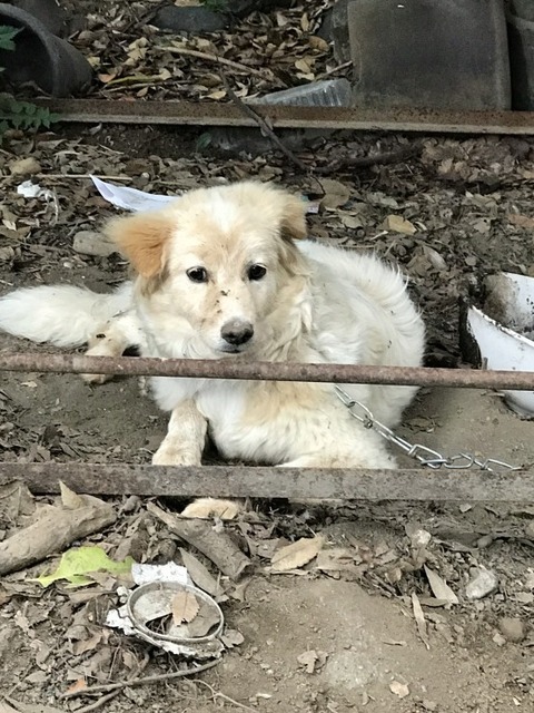 1531902711894-554x739