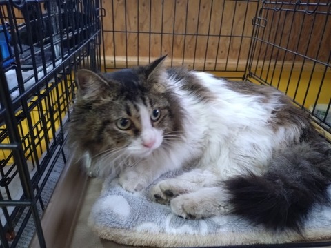 20260306_150800_copy_800x600