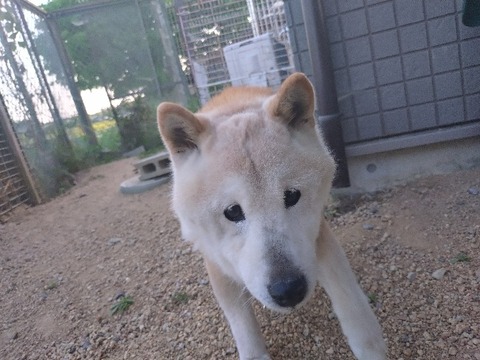 20240504_174008_copy_800x600