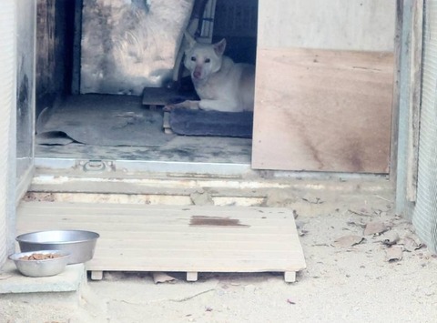 1742369017866_copy_808x598