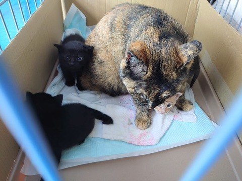 DSC_5661_copy_800x600