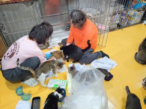 20260119_083746_copy_800x600