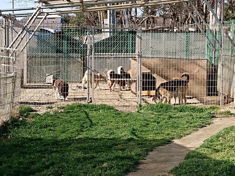 DSC_5966_copy_800x600