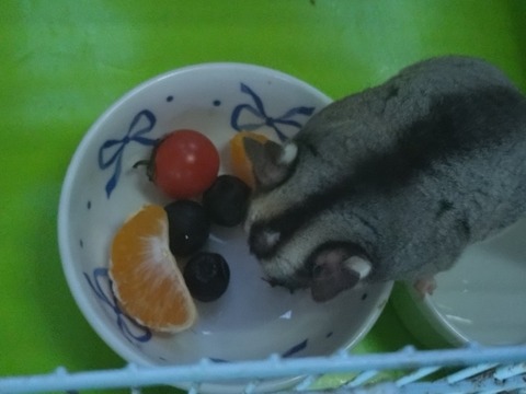 20251123_070700_copy_800x600