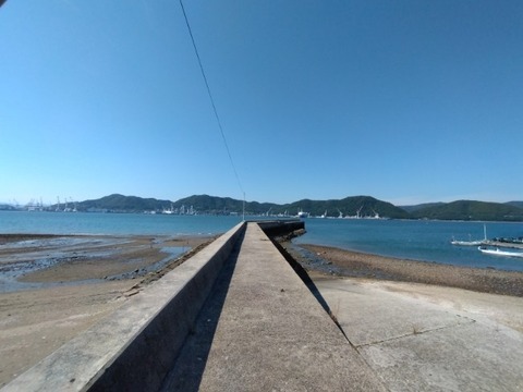 20250626_155320_copy_652x489