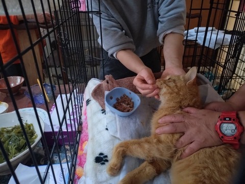 1769506180202_copy_800x600