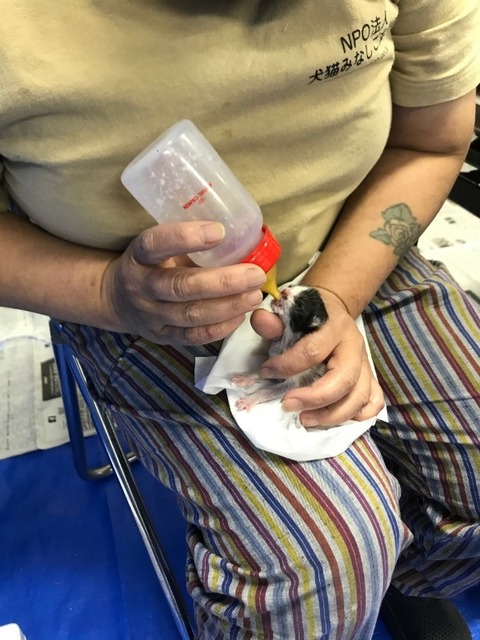 1613738788863_copy_600x800