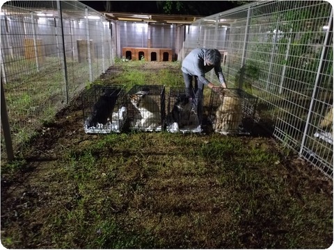 20250807_204704