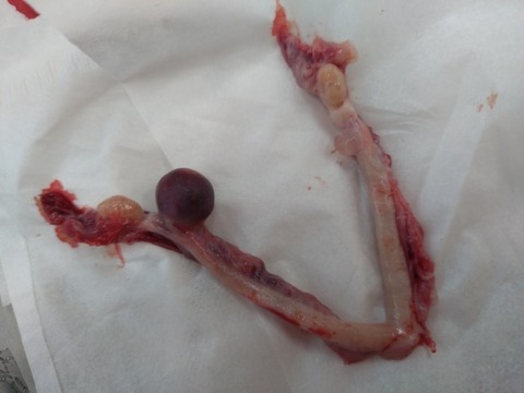 20251216_121013_copy_800x600