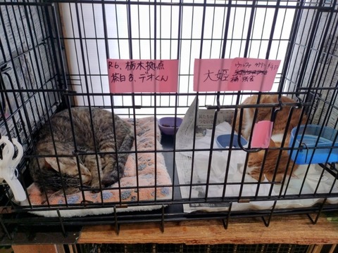 20250217_132659~3_copy_800x600