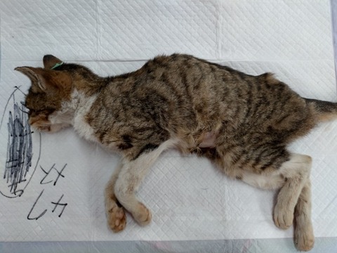 20251221_095408_copy_800x600