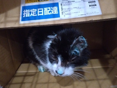 20260222_085347_copy_800x600