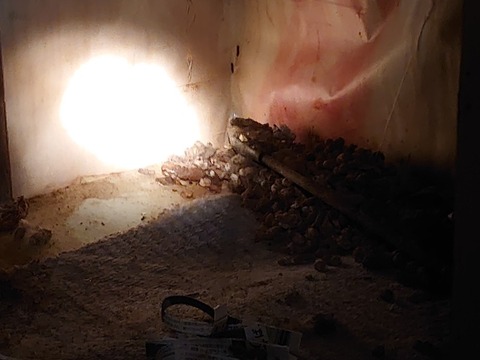 DSC_0323_copy_800x600