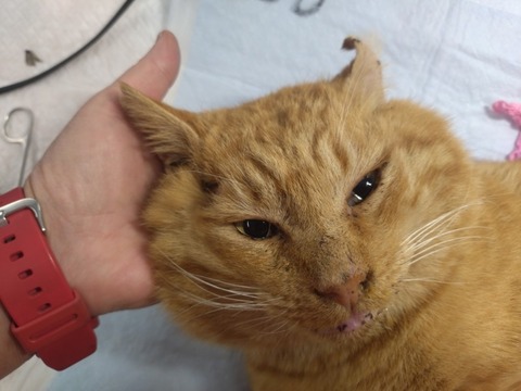 20260120_170112_copy_800x600