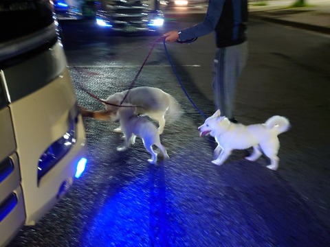 20230420_191144_copy_800x600