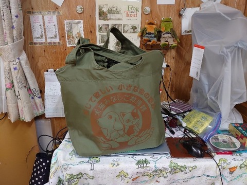 DSC_5632_copy_800x600