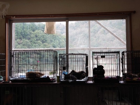 DSC_2765_copy_800x600