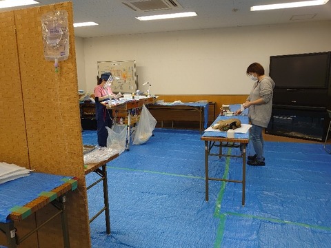 DSC_1439_copy_800x600
