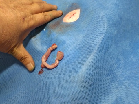 20251221_122200_copy_800x600