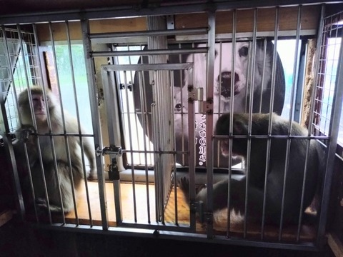 20250920_123904~2_copy_800x600