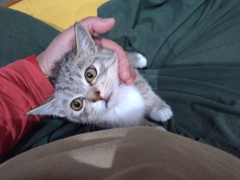 20251209_140606_copy_800x600