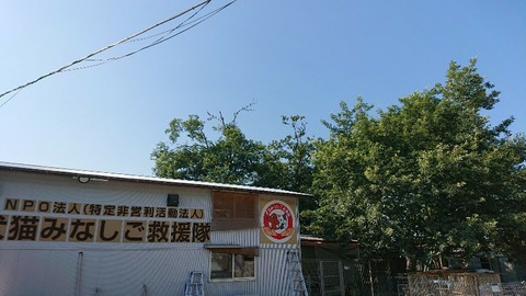 DSC_0990-800x450-800x450