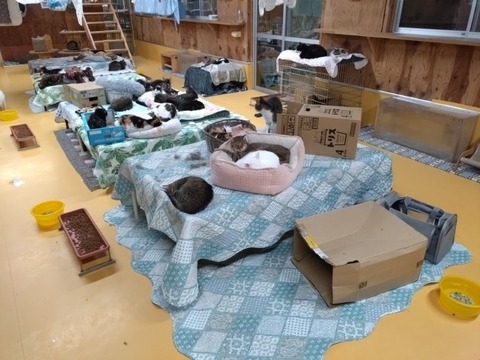 20251011_174358_copy_800x600