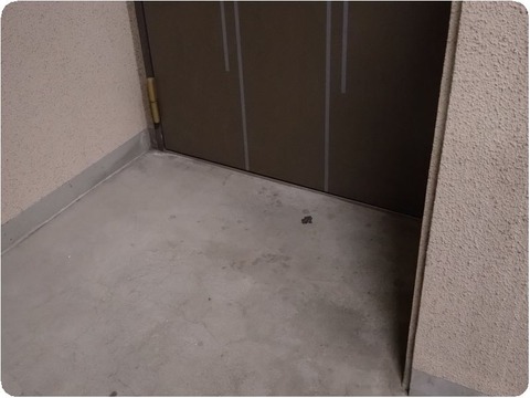 20241002_174306