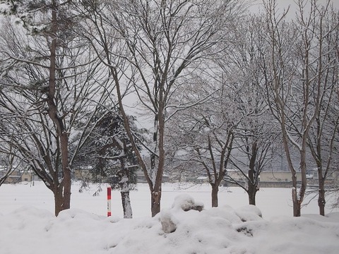 20240314_072546_copy_800x600