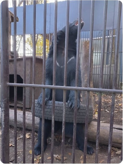 original_edbec287-99f2-4860-9344-7fdf847b91ca_1763282673362