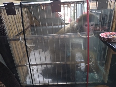 20260302_105137_copy_800x600