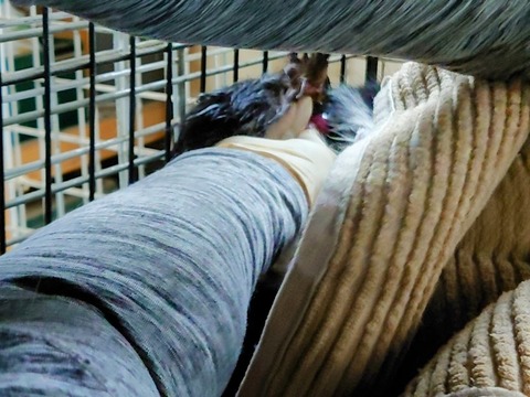 20230217_200622~2_copy_800x600