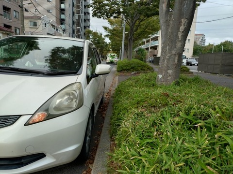 20241017_151658_copy_800x600