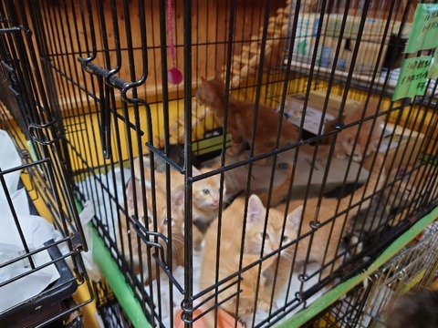 20230714_180213_copy_800x600_copy_800x600