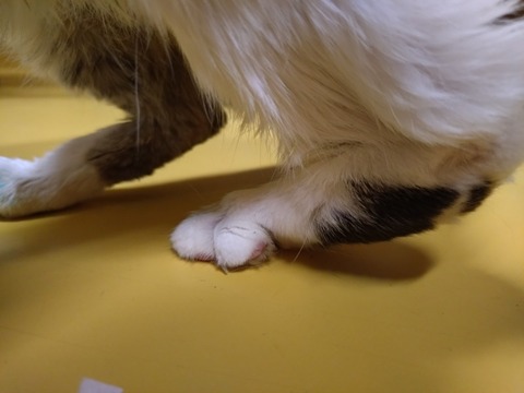 20260107_184516_copy_800x600