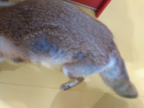 20260223_134241_copy_800x600