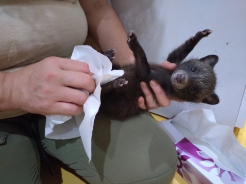 20250620_073210_copy_800x600