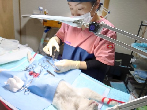 DSC_4212_copy_800x600