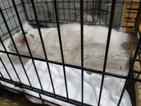 20251019_173812_copy_800x600