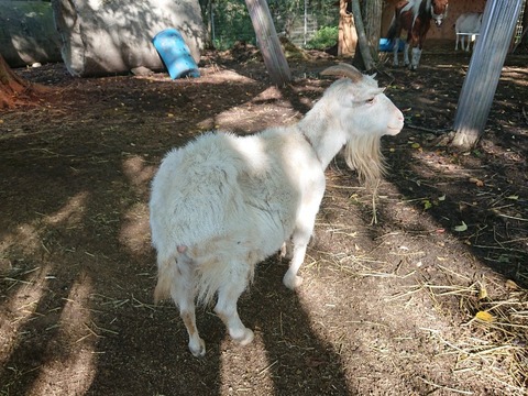 DSC_2393-800x600