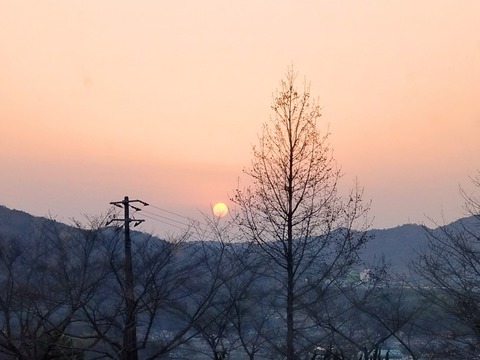20250324_180911_copy_816x612